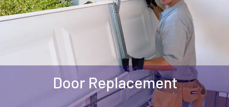  Door Replacement 