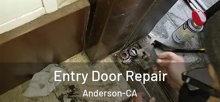  Entry Door Repair Anderson-CA