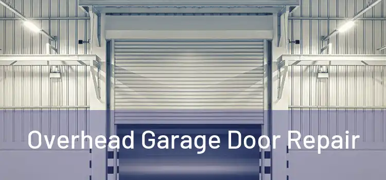 Overhead Garage Door Repair